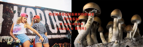 стафф Беломорск
