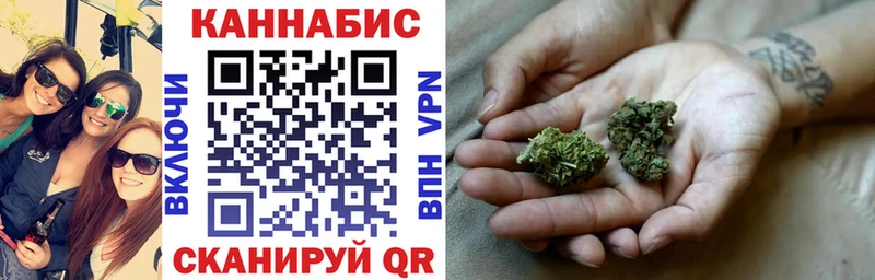 Марихуана план  где найти   гидра ссылка  Владивосток 
